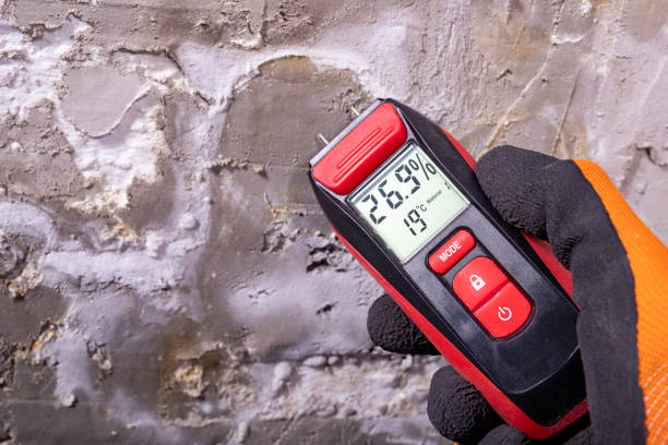 Professional Mold Removal in Marlborough, MO