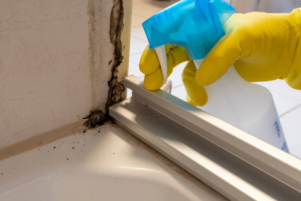 Best Crawl Space Mold Removal  in Marlborough, MO