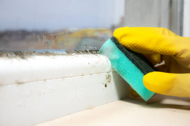 Best Residential Mold Removal  in Marlborough, MO