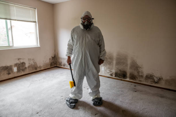 Office Mold Removal Services in Marlborough, MO